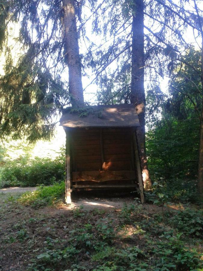 Fewo Am Neckarsteig نيكارشتايناخ المظهر الخارجي الصورة