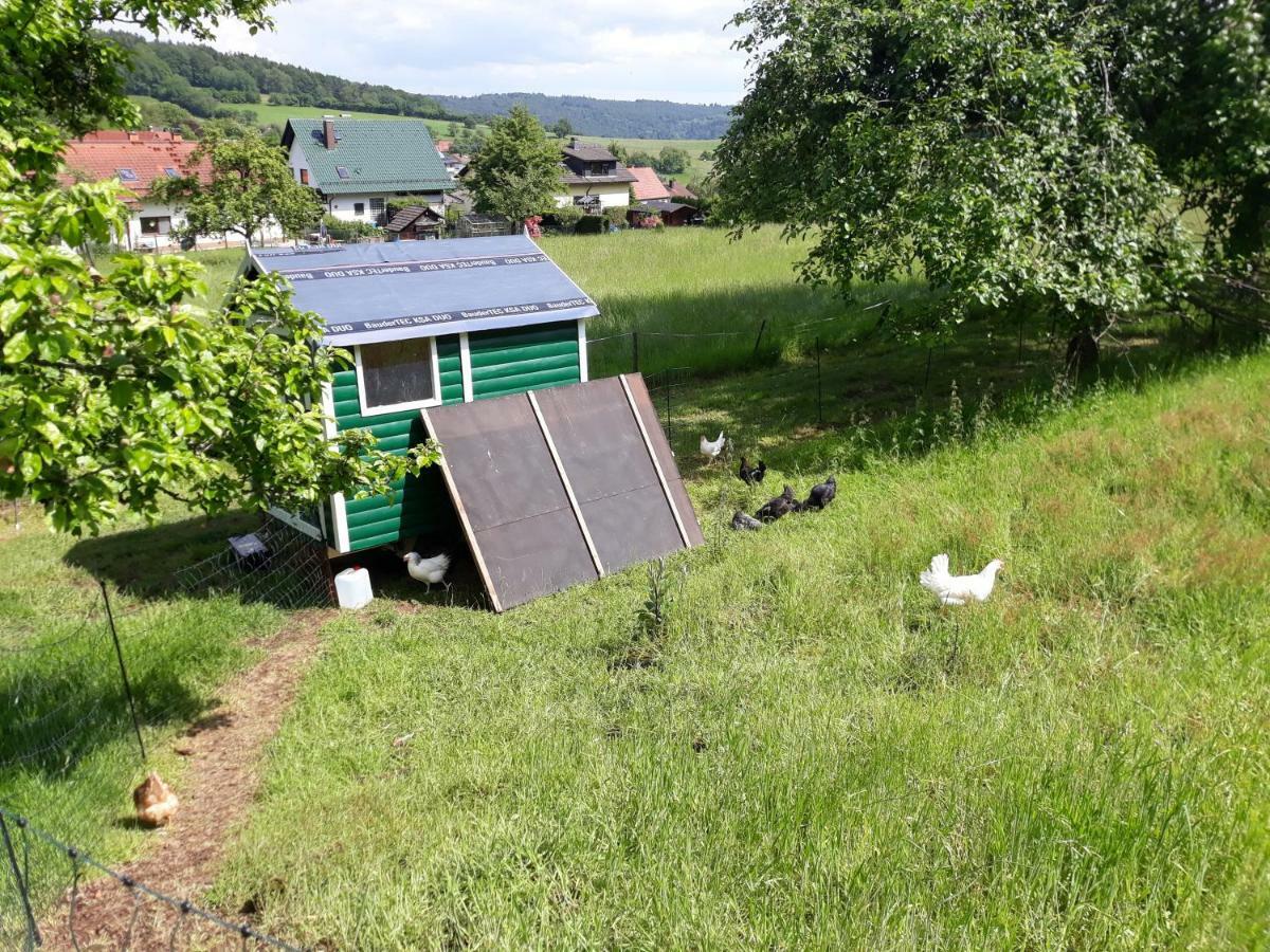 Fewo Am Neckarsteig نيكارشتايناخ المظهر الخارجي الصورة